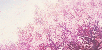 1569814077102837.gif 1569814077102837.gif