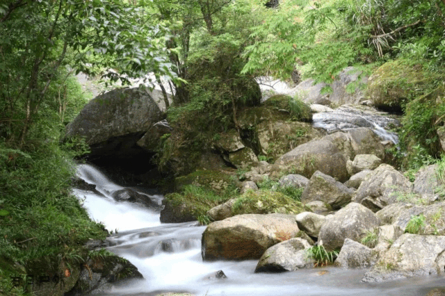 1569832013425283.gif 1569832013425283.gif
